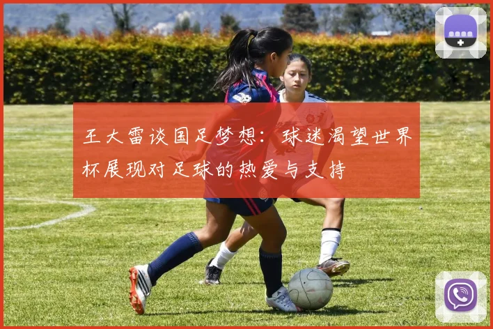 王大雷谈国足梦想：球迷渴望世界杯展现对足球的热爱与支持