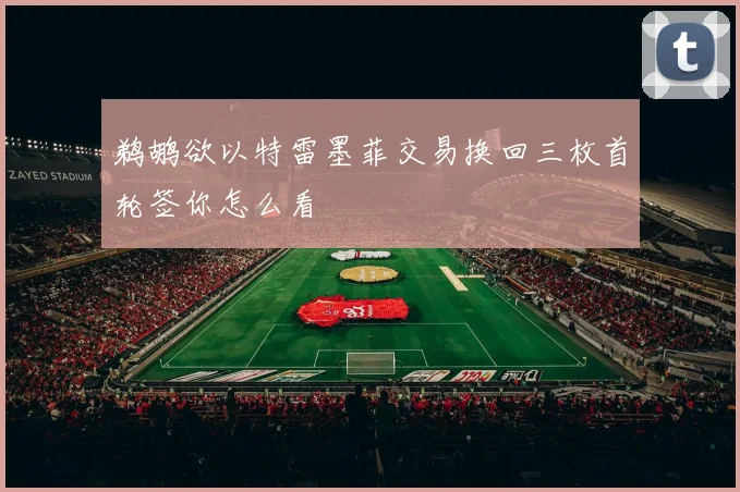 鹈鹕欲以特雷墨菲交易换回三枚首轮签你怎么看